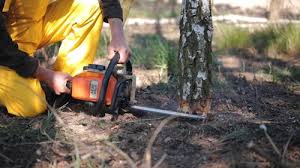Lawn Pest Prevention in Sperry, OK