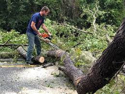 Best Leaf Removal  in Sperry, OK