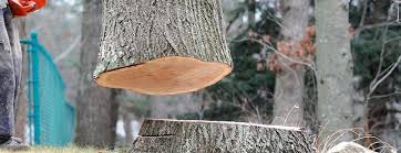 Best Hazardous Tree Removal  in Sperry, OK