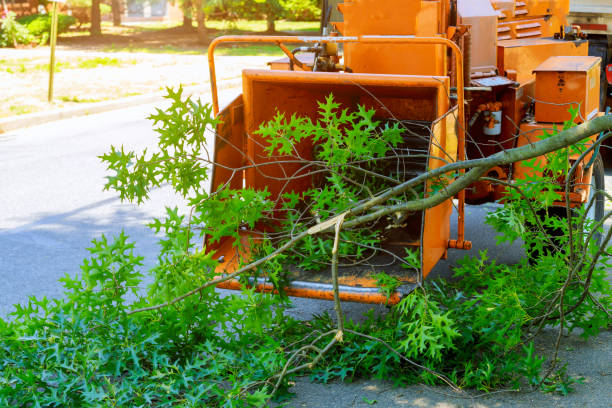 Best Pest Control for Lawns  in Sperry, OK