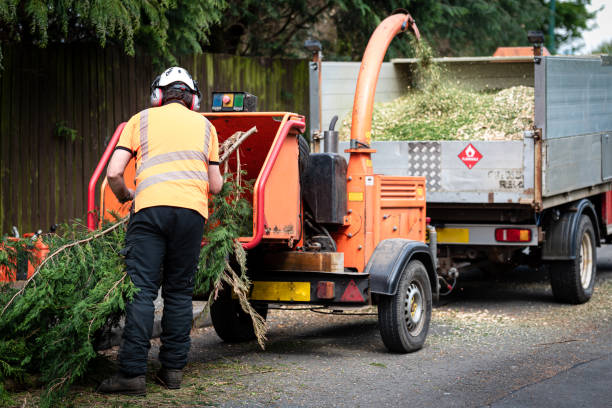 Best Hazardous Tree Removal  in Sperry, OK
