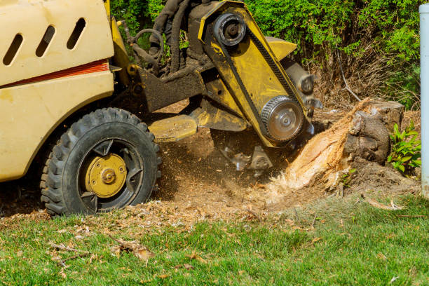 Best Arborist Consultation Services  in Sperry, OK