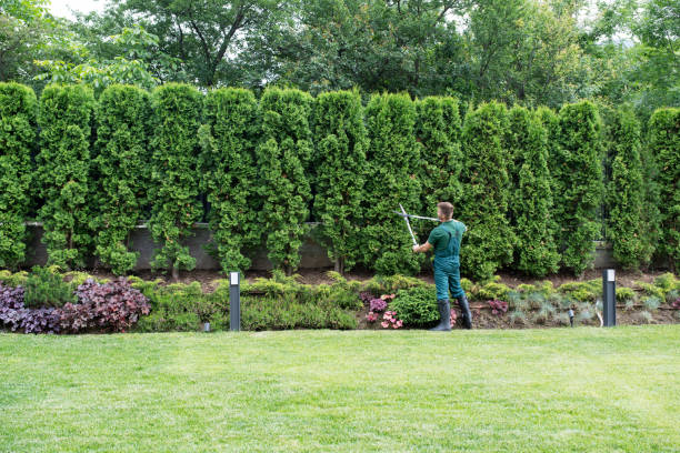 Best Storm Damage Tree Cleanup  in Sperry, OK