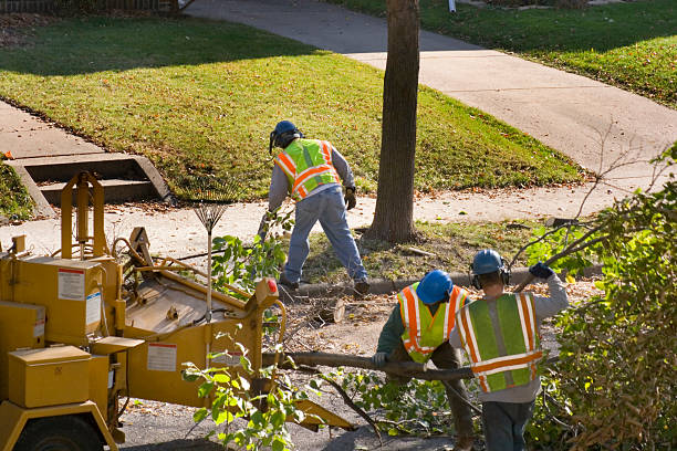Best Tree and Shrub Care  in Sperry, OK