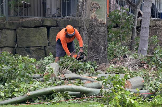  Sperry, OK Tree Services Pros